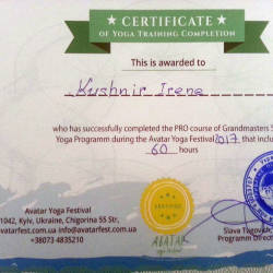 Ирина Кушнир: Сертификат об участии в фестивале «Аватар 2017»